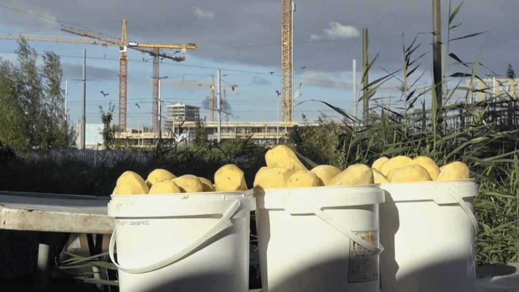 Docu-vertoning over het Zeeburgereiland: EIGENHEIMERS