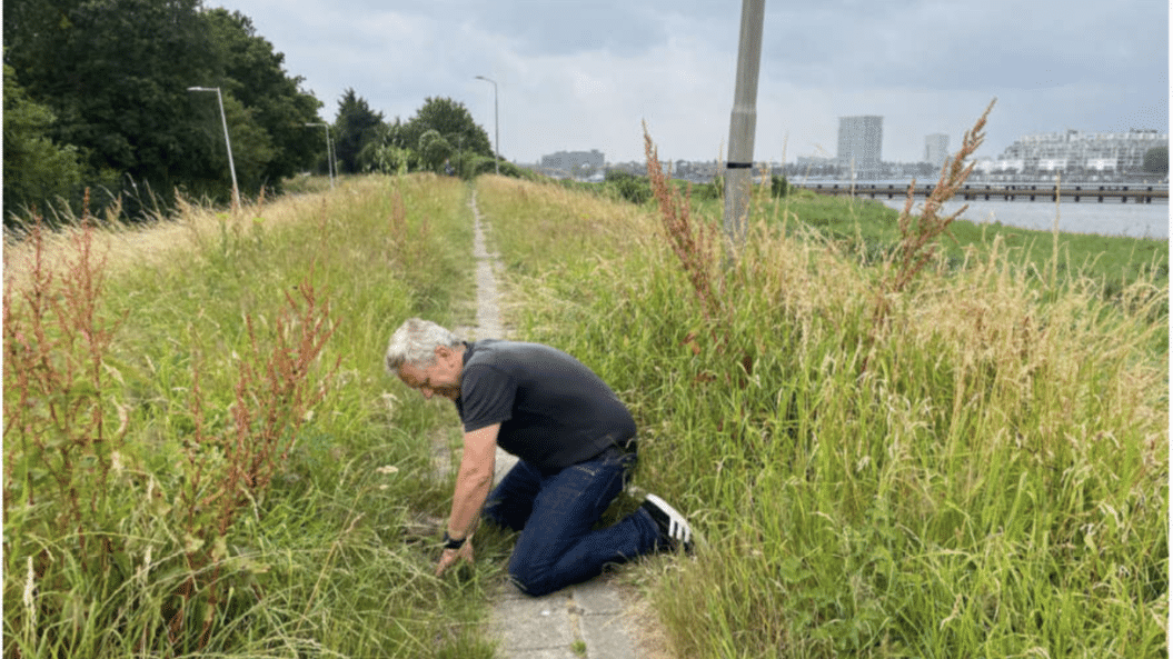 Samenleven met de natuur tijdens Summer Research School Symbiocene