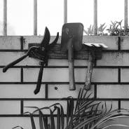 Pleasure Ground (kunstenaarscollectief)