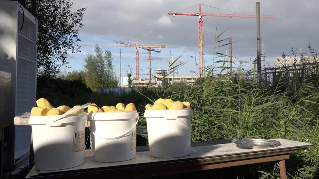 SLUISlab Amsterdam